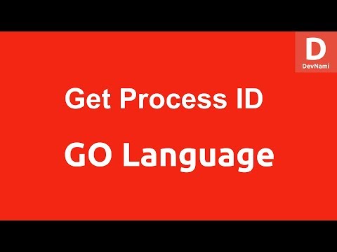 GO Programming Get Process ID
