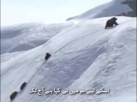 Ya Man Yara (Urdu Subtitles)