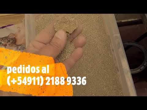 Arena Sanitaria para gatos, Wondercat Finos de Bentonita