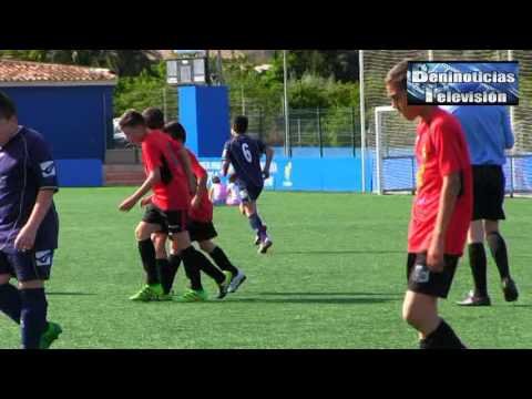 ALEVIN A LA NUCIA  -  PEDREGUER