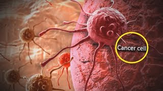 5 Ways The World Will End In 100 Years!