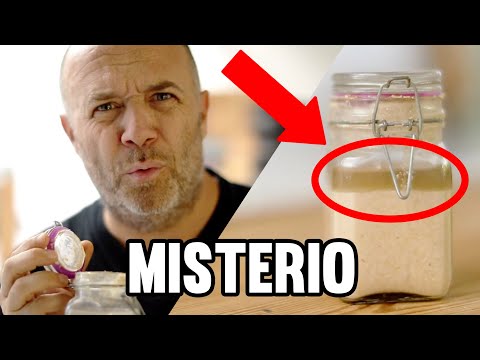 What is that liquid in sourdough? | GLUTENMORGEN TV