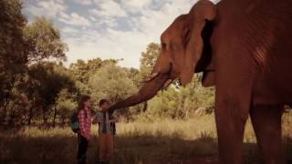 Against the Wild 2 Survive the Serengeti (2016) trailer