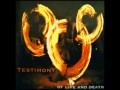 Testimony - You´re The Blame