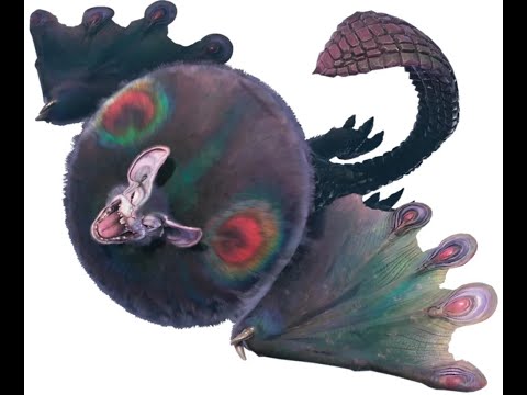 Nightshade Paolumu Kill