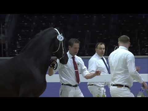 HK 2024   Rubriek 1 Deel 1   Donderdag 1 januari    Tweede bezichtiging