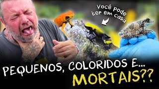 Miniatura do vídeo