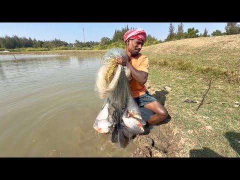 Net Fishing Video - Very Amazing Skill Cast Net Fishing In River - Best Net Fishing 