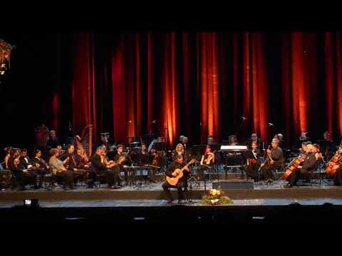 Aleksandar Hadži Đorđević, gitara i Camerata Serbica