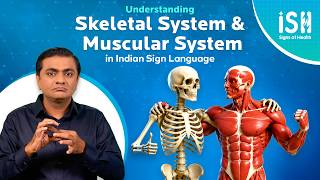 Understanding the Skeletal System and Muscular System | Signs of Health