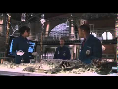 Bones - 10ª Temporada (Dublado)