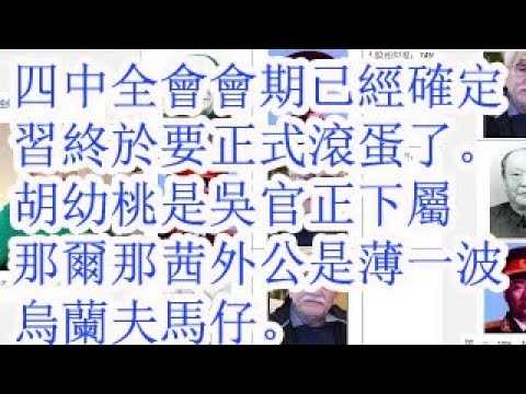 四中全会的会期已经确定，习近平终于要正式滚蛋了。胡幼桃大秘林彬杨是吴官正外甥汪德和下属。那尔那茜的外公是薄一波乌兰夫马仔。