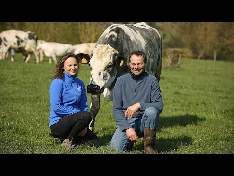 , title : '1er prix de l'agrobiodiversité animale 2021 - La vache Bleue du Nord'