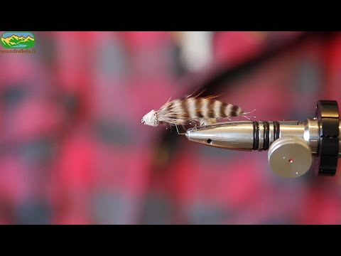 rennostiretkella.fi - Super- Spuddler