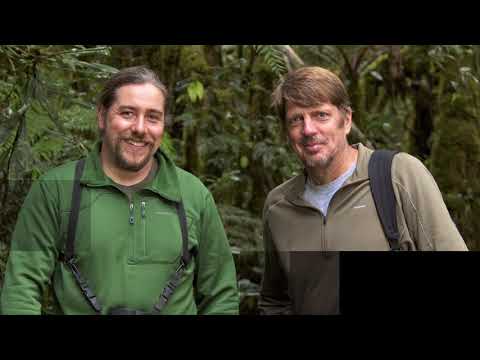 National Geographic LIVE:  Birds of Paradise
