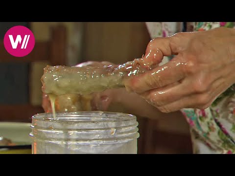 download lagu mp3 mp4 Cooking In Fat Is Called, download lagu Cooking In Fat Is Called gratis, unduh video klip Cooking In Fat Is Called