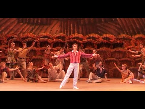 The Bright Stream - Act I - Bolshoi 2010
