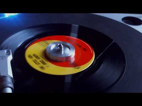 The Beach Boys - The Little Girl I Once Knew 45 rpm