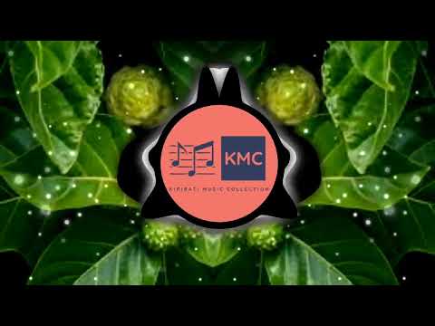 Kiribati_Te_Non_ni_Kamaeu - 05 Karaua te Anene