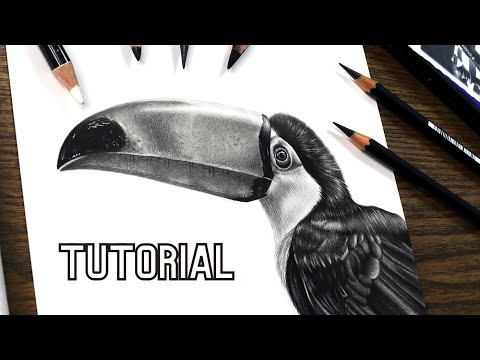 HOW to DRAW a REALISTIC BIRD | BLACK and WHITE STEP by...