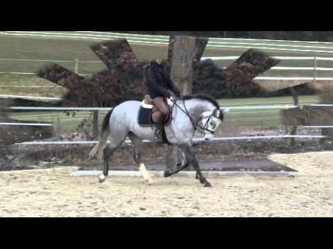 Sally von Worrenberg