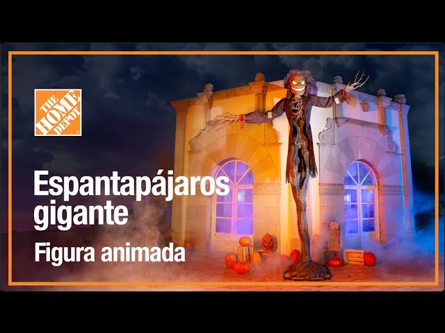 Vídeo relacionado con Bájaro De Halloween Espeluznante, Muñeca De Halodio De Animales De Pájaros | Animal Figuras Halloween La Estatua De Terror Decoración De La Escena De Actividades, Aves Independientes para Ventanas De