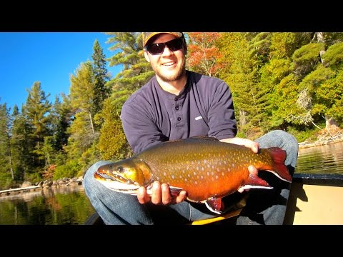 Blue Fox Camp | Ontario