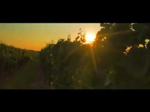 Prayers for Croatia...