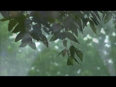 Enrique Granados Twelve Spanish Dances, Op. 37 - IX. Mazurka Romantica