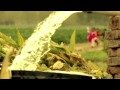 Veera Promo Star Plus TMH Films