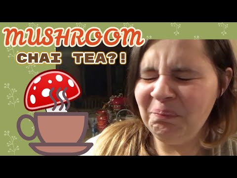 Doing shrooms?! Chai some mushroom tea!