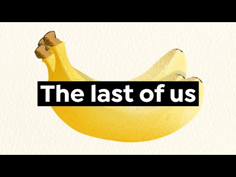 The Untold Story of Bananas: From Commodity to Extinction
