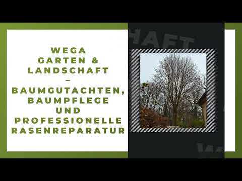 WEGA Garten & Landschaft YouTube-Vdeominiatur 11