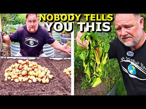 Food Growing Reality: Beyond the Idealized Garden