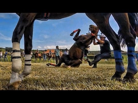 download lagu mp3 mp4 Caballos Pura Sangre De Carreras, download lagu Caballos Pura Sangre De Carreras gratis, unduh video klip Caballos Pura Sangre De Carreras
