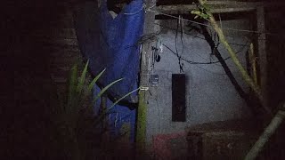 Download lagu Rumah Angker   Bambu Kuning mp3 Download lagu Rumah Angker   Bambu Kuning mp3