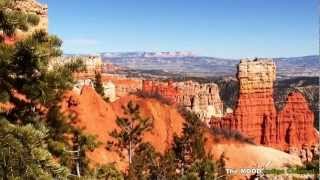 Jesus Children Of America