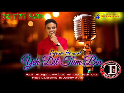 Yeh Dil Tum Bin  Kahin Lagta Nahin -  Dylan Harpal (bollywood remix) destiny band