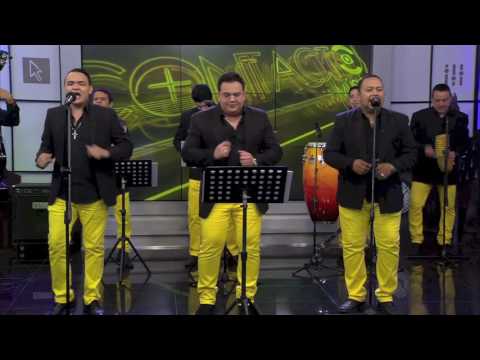 LA CHARANGA DEL SUR - EL CINTURÓN DEL TAXI