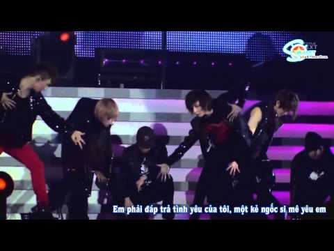 [Vietsub] [Perf] SHINee ft EXO-M's Lay - Ring Ding Dong ( SHINee World Concert )
