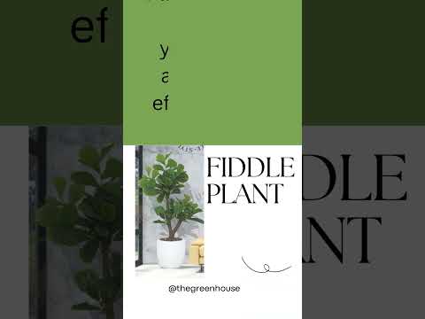 Artificial Small Fiddle Plant TP-02