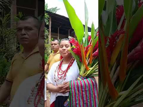 Ratz'un Kana María, aldea Sexán, El Estor, Izabal 🇬🇹 #ElEstor #longvideo