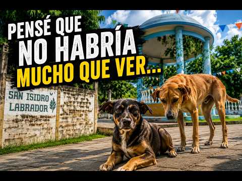 Pensé que no habría mucho que ver...
