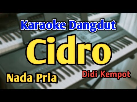 CIDRO - KARAOKE || NADA PRIA COWOK || Didi Kempot || Audio HQ || Live Keyboard