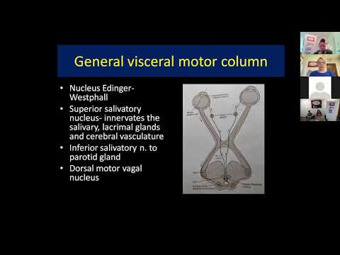 EDS ECHO Clinicians North America (CLN2A), Session 5