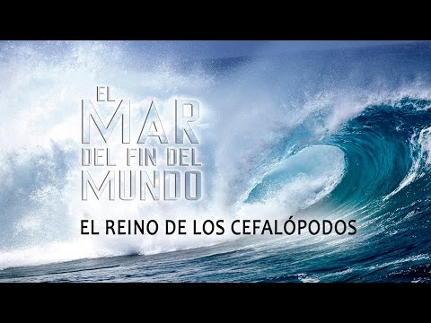 El Mar del Fin del Mundo, Cap. 1:  El Reino de los cefalópodos (Español)