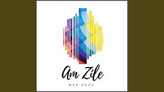 Am Zile - Remix Music Video