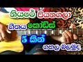 Niyare Piyanagala | 5 Chords | Sinhala Guitar Chords | Em,D,C,Am,B | Sinhala  Guitar Lessons