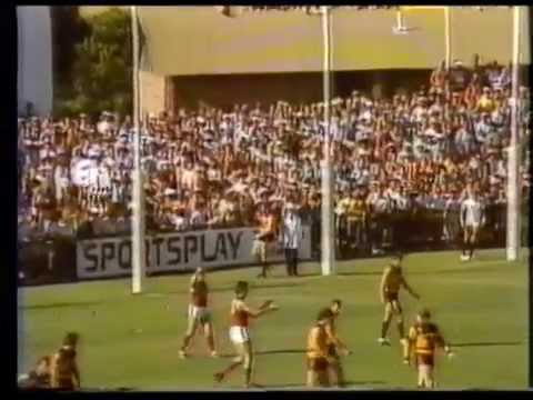 Brisbane v Fitzroy 1987
