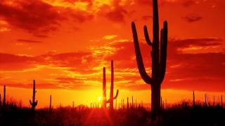 Afferik - The Devils Triangle (Pulsate Remix) (Clip)